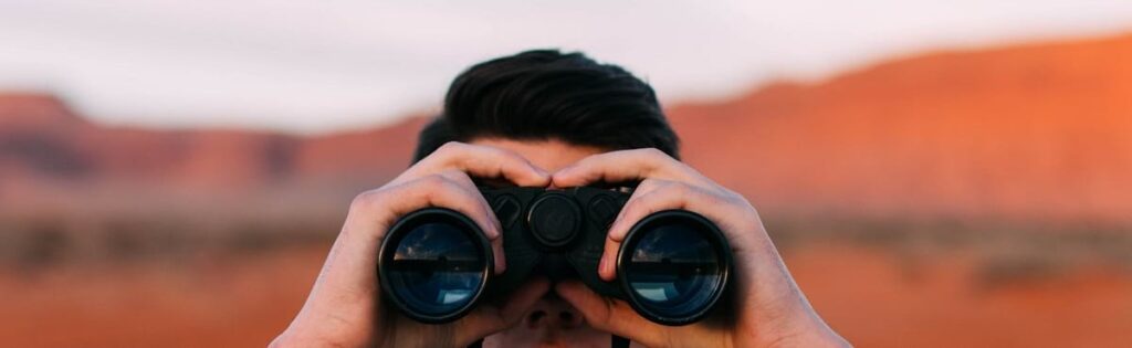 Binoculars for third-party IT assessment